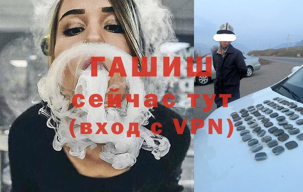 стаф Алзамай