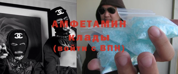стаф Алзамай