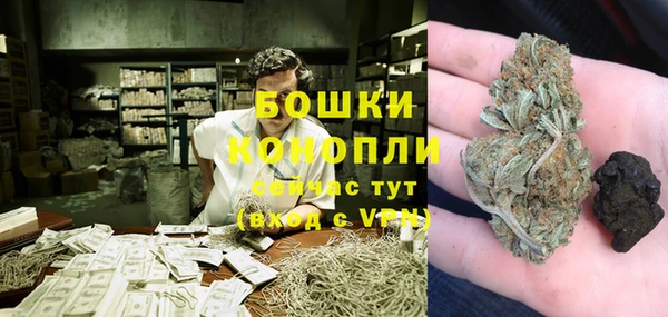 прущие грибы Абдулино