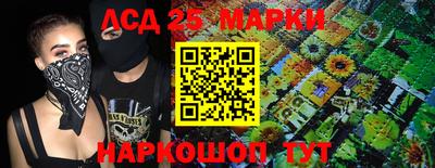ALPHA PVP Гатчина