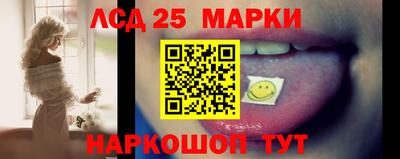 ALPHA PVP Гатчина