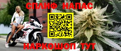 наркотики Гай