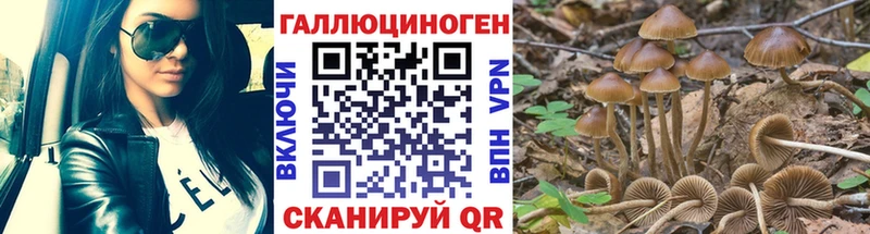 даркнет телеграм  купить наркотики цена  Кудымкар  Галлюциногенные грибы GOLDEN TEACHER 