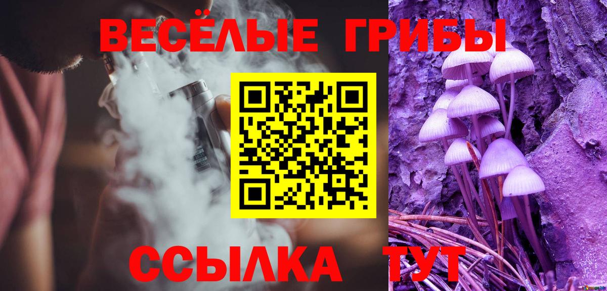 Псилоцибиновые грибы Psilocybine cubensis  Вход с VPN  Кудымкар 